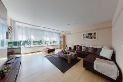 EG Wohnzimmer