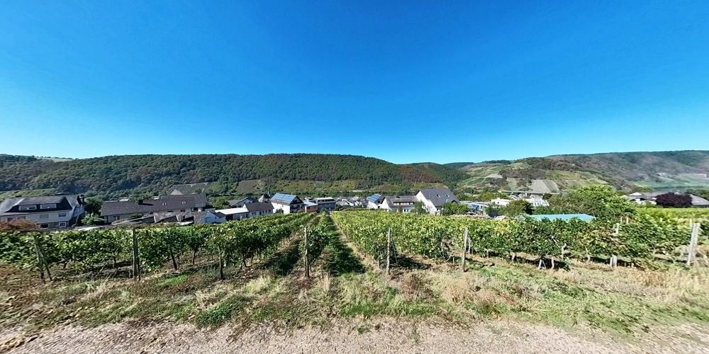 Ansicht Weinbergsweg Ansicht Weinbergsweg