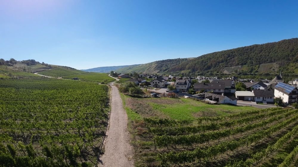 Aussicht Süden (moselaufwärts) Aussicht Süden (moselaufwärts)