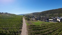 Aussicht Süden (moselaufwärts) Aussicht Süden (moselaufwärts)