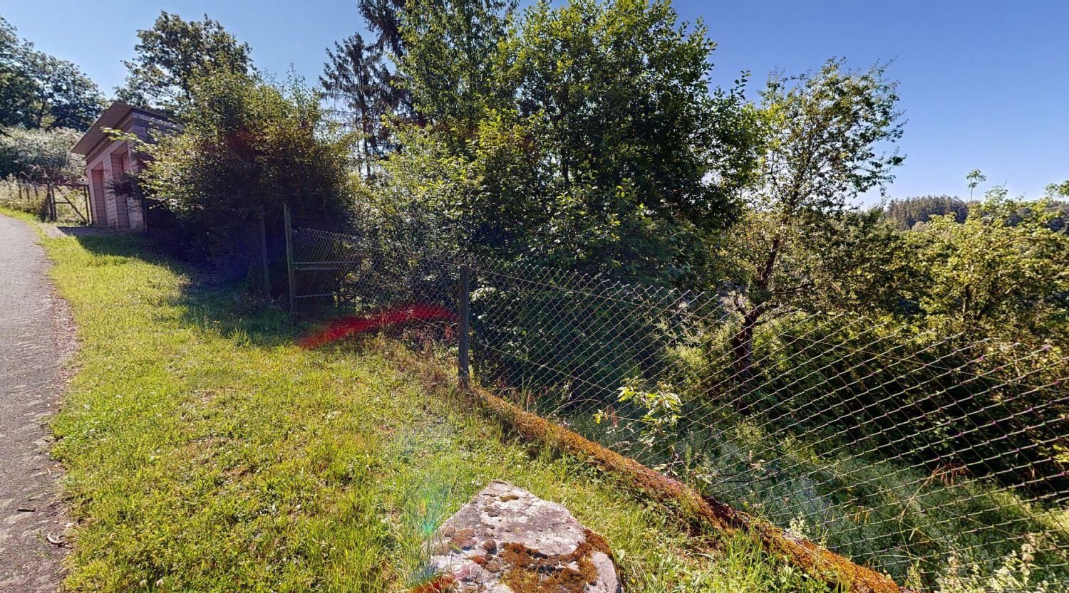 Blick von der Bergstraße in den Garten Blick von der Bergstraße in den Garten