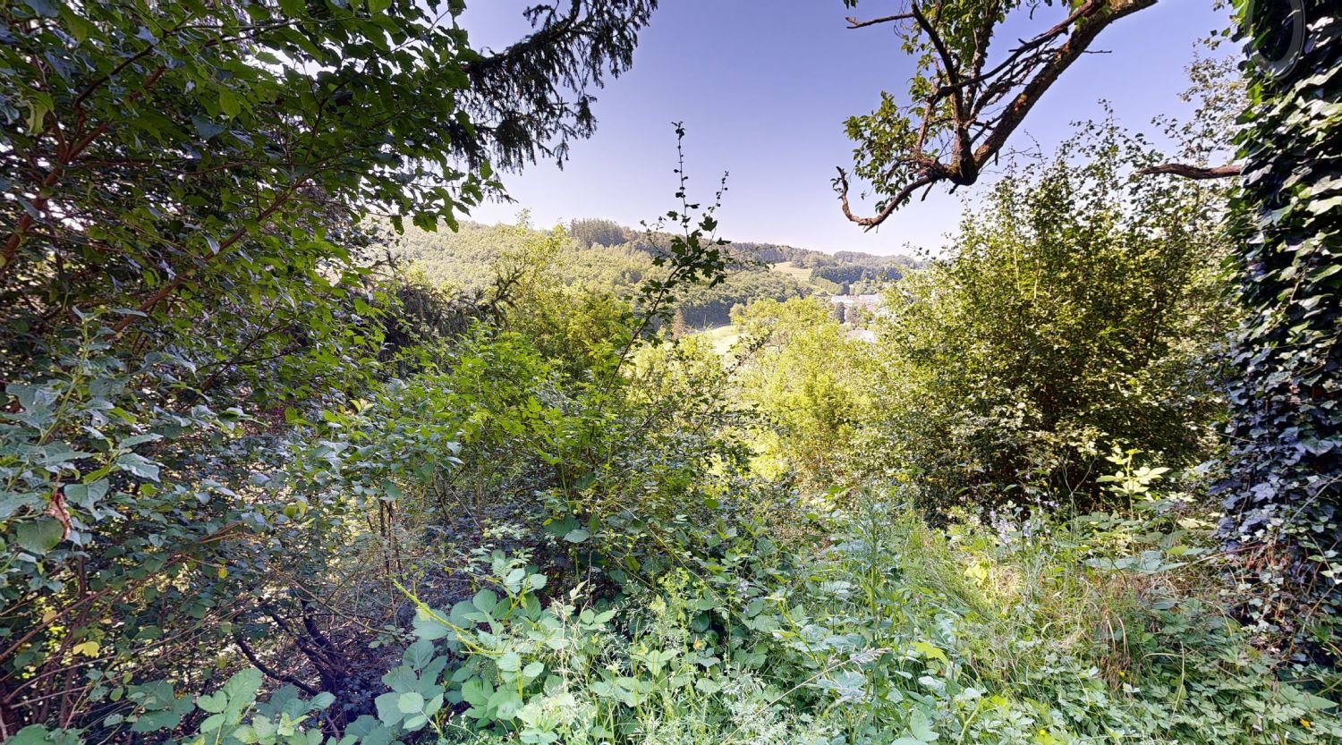 Blick ins Tal Blick ins Tal