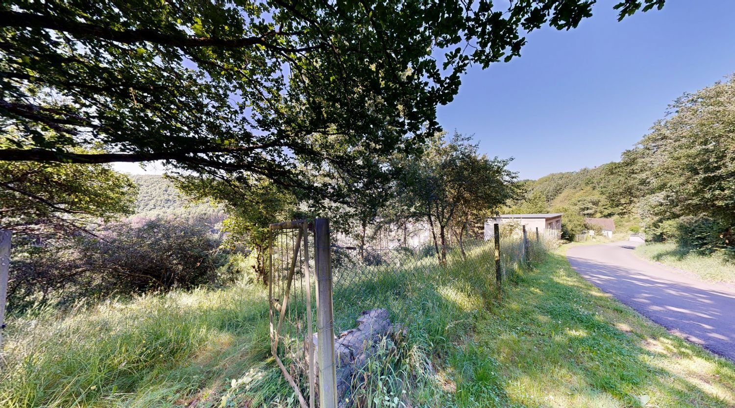 Streuobstwiese entlang der Bergstraße Streuobstwiese entlang der Bergstraße