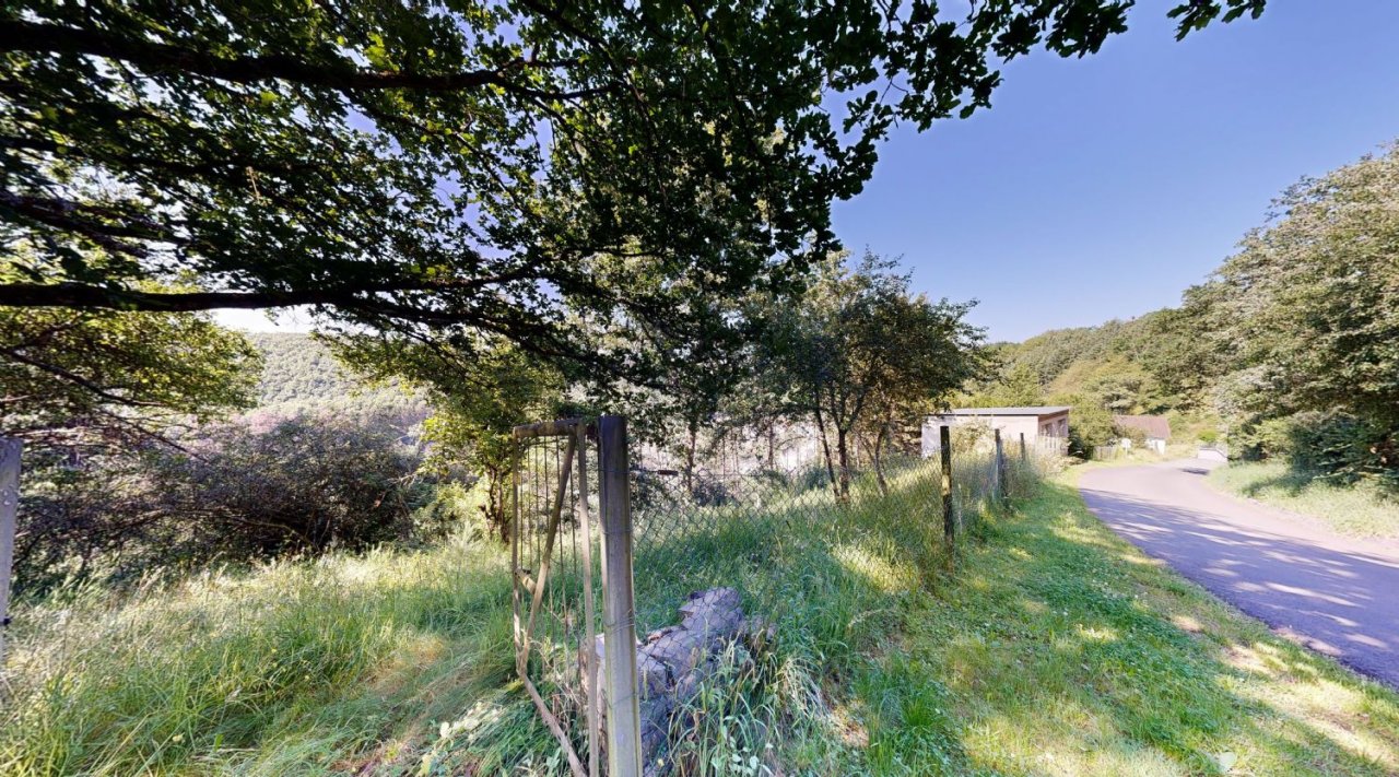 Streuobstwiese entlang der Bergstraße Streuobstwiese entlang der Bergstraße
